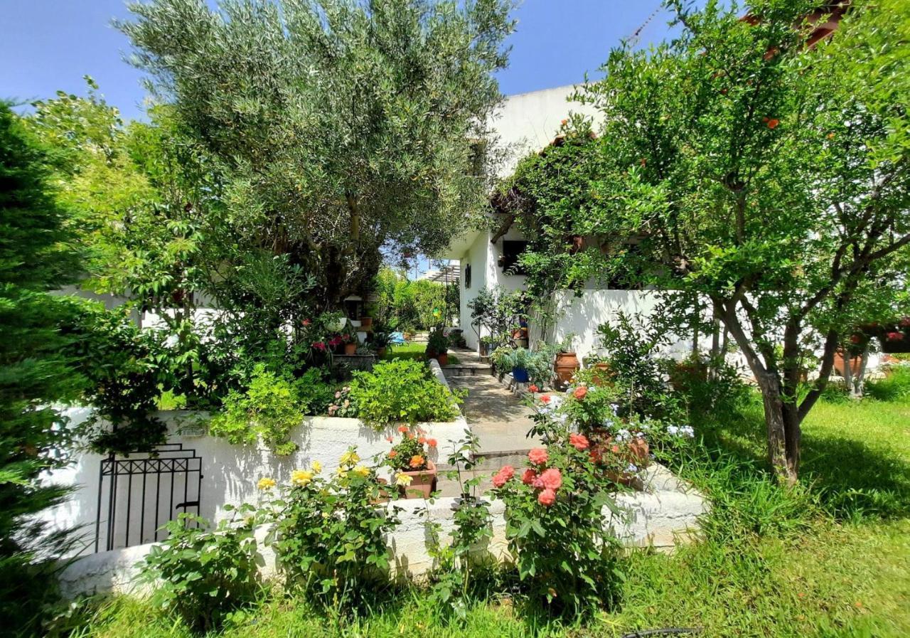 Willa Sonia'S House With Garden Gerakini Zewnętrze zdjęcie